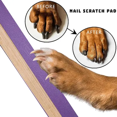 KPYTE Planche à gratter pour chien KPYTE Planche à gratter pour chien