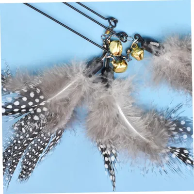 KPYTE Teaser interactif pour chat