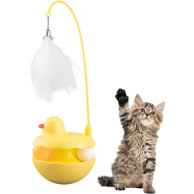 KPYTE Jouets interactifs pour chats