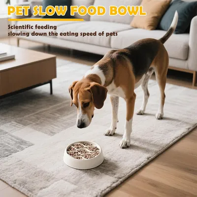 Gamelle Anti-Glouton Chats, Gamelle Anti-Vomissement