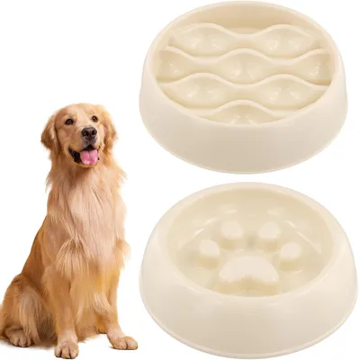 Gamelle Anti-Glouton Chats, Gamelle Anti-Vomissement Gamelle Anti-Glouton Chats, Gamelle Anti-Vomissement