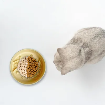 KPYTE Bandeja de alimentación lenta para perros