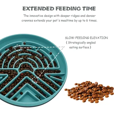 Gamelle anti-étouffement pour chien avec base antidérapante