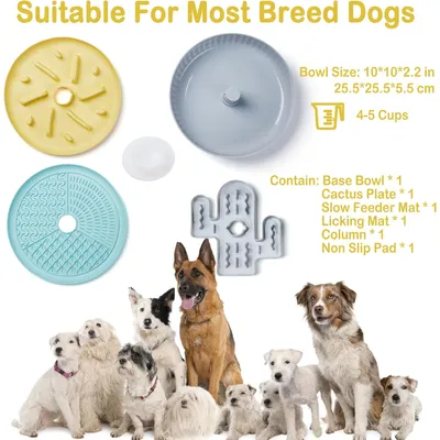 KPYTE Gamelle rotative anti-étouffement pour chats et chiens