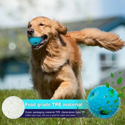 Jouet couineur en caoutchouc pour chien