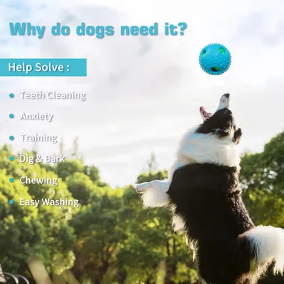 Jouet couineur en caoutchouc pour chien