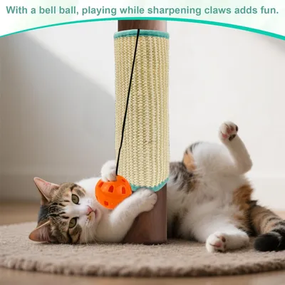 Griffoir Chats pour La Protection des Pieds de Table