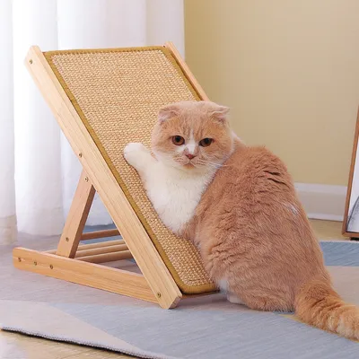 Rampe à griffer en sisal en Forme de pour Chats