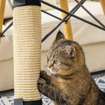 Tapis griffoir pour Chat, avec Velcro