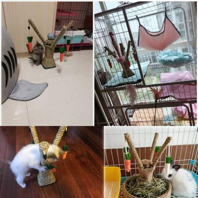UAMLY Árbol para gatos, colgante de zanahoria