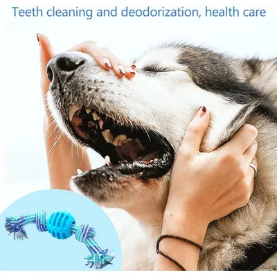 Jouets en corde,Jouets à mâcher pour le nettoyage dentaire des races