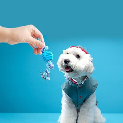 Jouets en corde,Jouets à mâcher pour le nettoyage dentaire des races