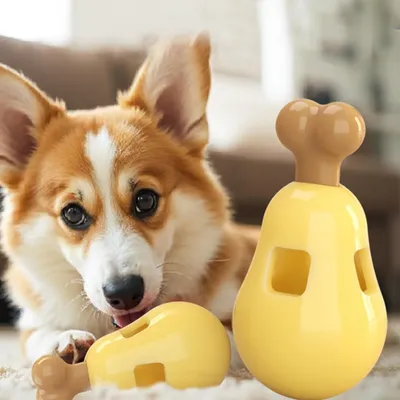 KPYTE Jouet distributeur de friandises pour chien