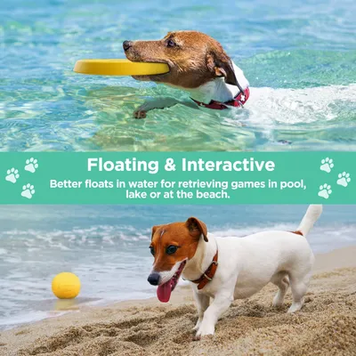 Jouet flottant à rapporter pour chiens
