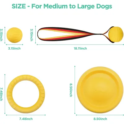 Jouet flottant à rapporter pour chiens