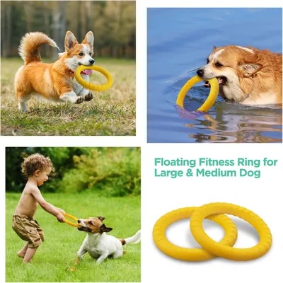 Jouet flottant à rapporter pour chiens