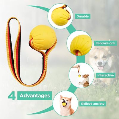 Jouet flottant à rapporter pour chiens