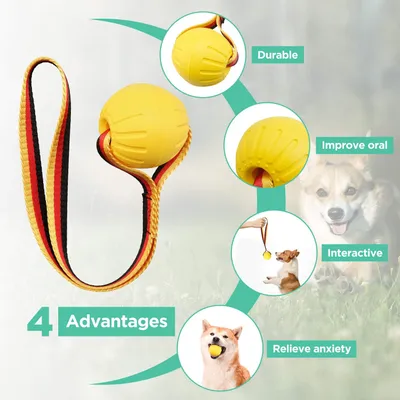Jouet flottant à rapporter pour chiens