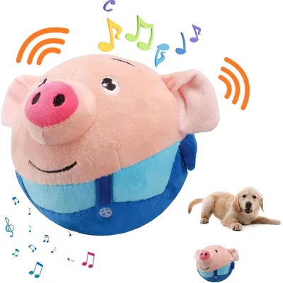 Jouet interactif pour chien, modes d'enregistrement et de musique