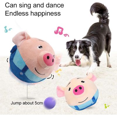 Jouet interactif pour chien, modes d'enregistrement et de musique