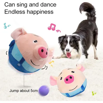 Jouet interactif pour chien, modes d'enregistrement et de musique