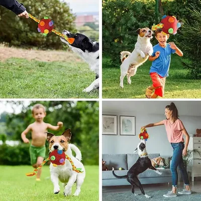 KPYTE Balle renifleur interactive pour chien