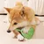 KPYTE Jouet d'alimentation lente pour chien
