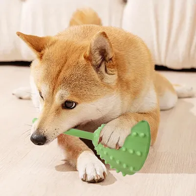 KPYTE Jouet d'alimentation lente pour chien