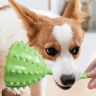 KPYTE Jouet d'alimentation lente pour chien