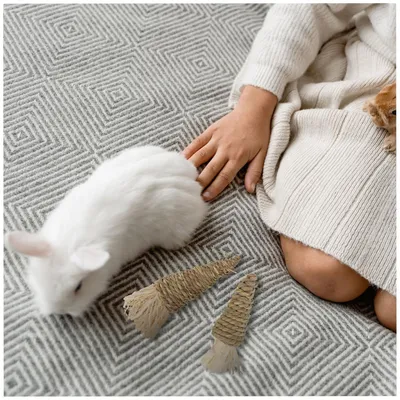 Jouets à mâcher pour petits animaux, forme carotte