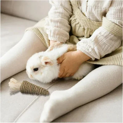 Jouets à mâcher pour petits animaux, forme carotte