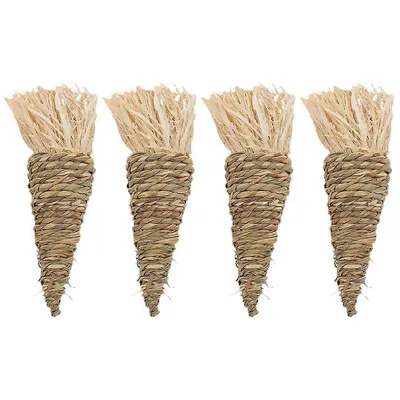 Jouets à mâcher pour petits animaux, forme carotte