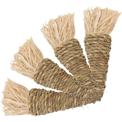 Jouets à mâcher pour petits animaux, forme carotte Jouets à mâcher pour petits animaux, forme carotte