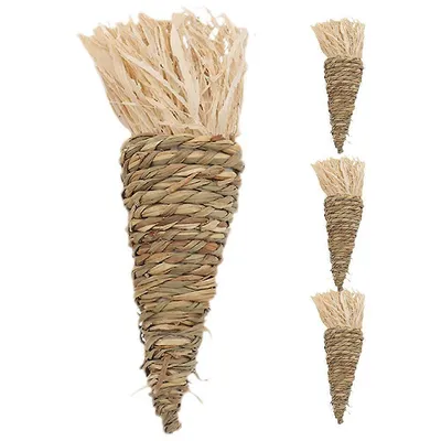 Jouets à mâcher pour petits animaux, forme carotte