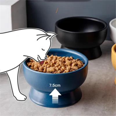 Gamelle surélevée en céramique pour chat
