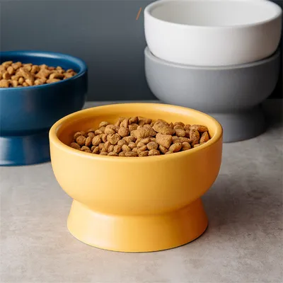UAMLY Gamelle surélevée en céramique pour chat