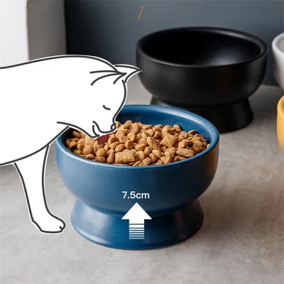 UAMLY Gamelle surélevée en céramique pour chat