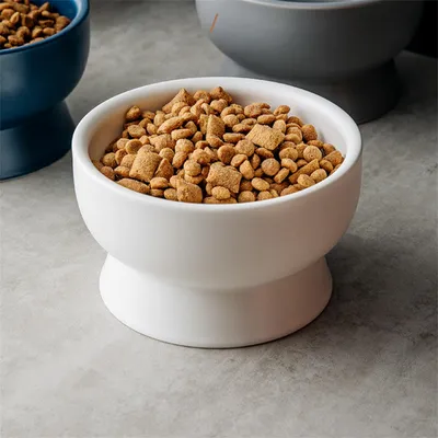UAMLY Gamelle surélevée en céramique pour chat