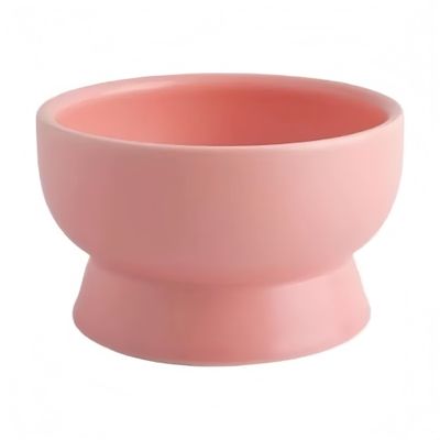 UAMLY Gamelle surélevée en céramique pour chat