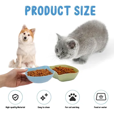 Ensemble de gamelles pour chat – plastique