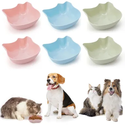 UAMLY Ensemble de gamelles pour chat – plastique