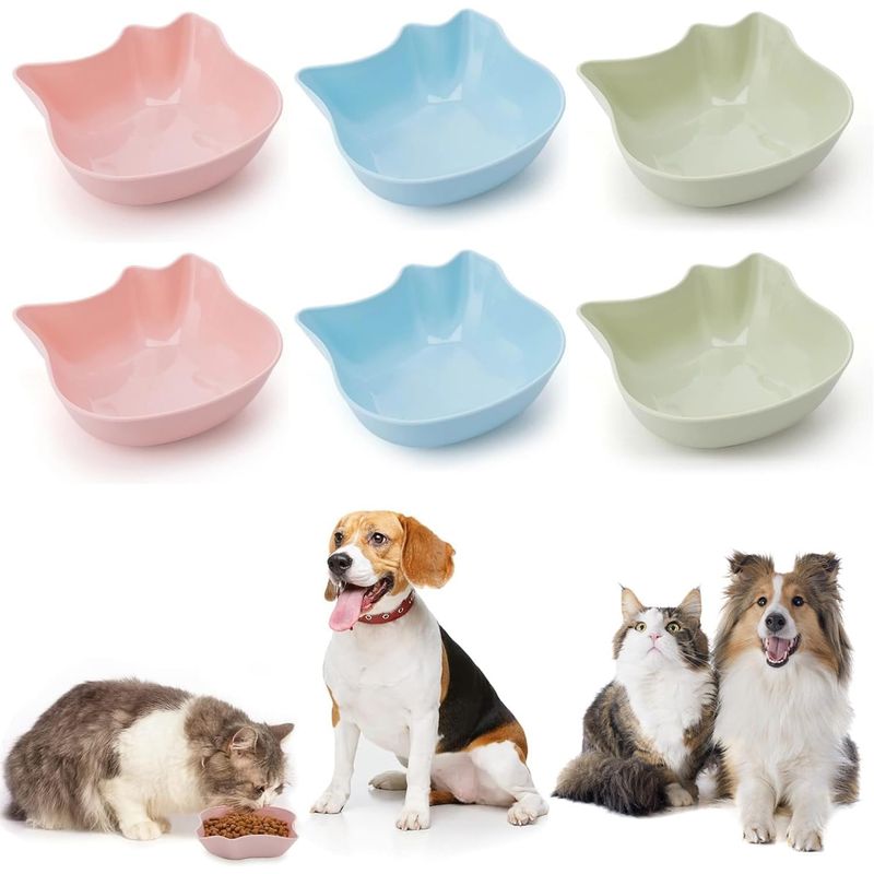 Ensemble de gamelles pour chat – plastique