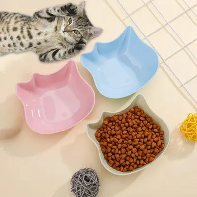 Ensemble de gamelles pour chat – plastique