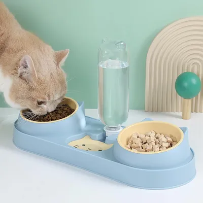 KPYTE Mangeoires et fontaines à eau pour chats et chiens