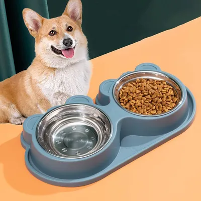 KPYTE Gamelle anti-fuite en acier inoxydable pour chat et chien