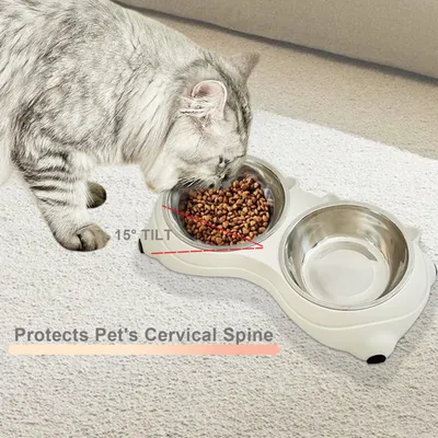 KPYTE Gamelle anti-renversement pour chat