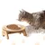 Gamelle surélevée pour chat