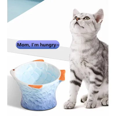 KPYTE Bol incliné en céramique pour chat