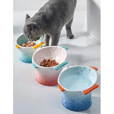 KPYTE Bol incliné en céramique pour chat
