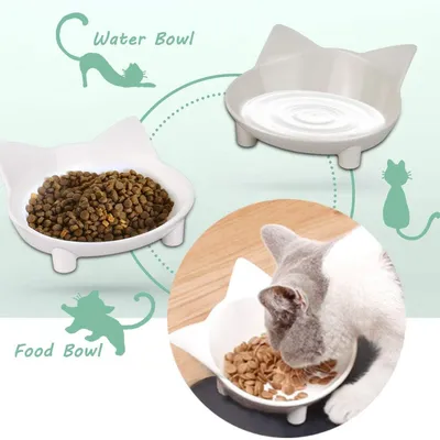 KPYTE Gamelle antidérapante pour chat